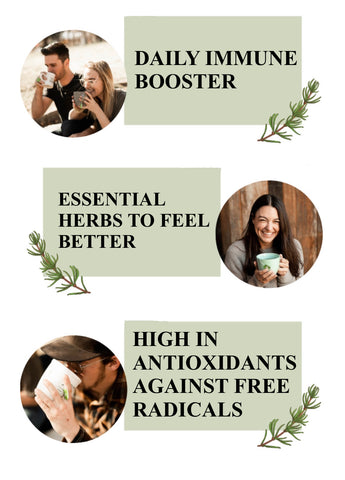 Leafy Love Wellness Blend - Leafy Love Herbal Tea Blends