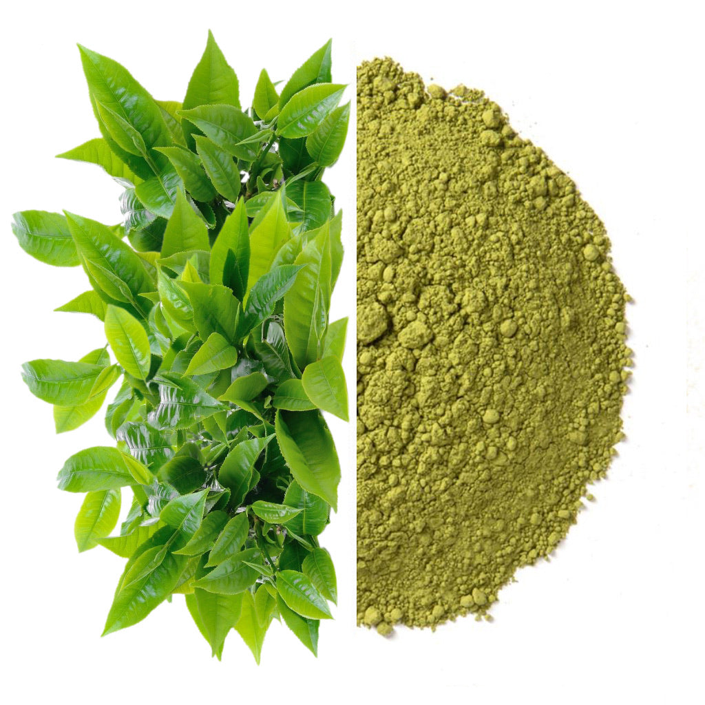 Leafy Love Organic Ceremonial Green Tea Matcha - Leafy Love Herbal Tea Blends